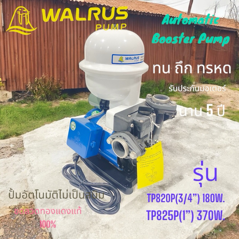 ปั้มน้ำอัตโนมัติไม่เป็นสนิมขดลวดทองแดงแท้100%Automatic-Booster-Pumpรุ่นTP820P(180W)และรุ่น(370W)